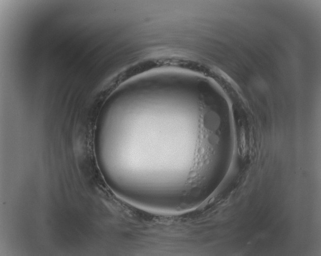 X0000083000775200702081859