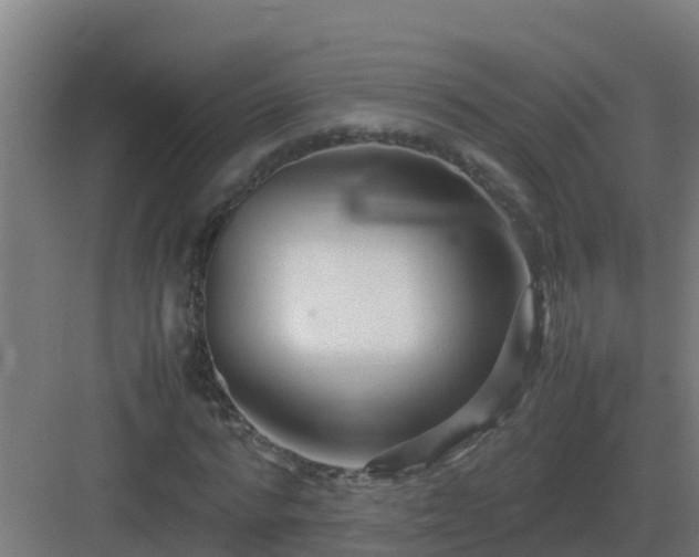 X0000083000776200702081859