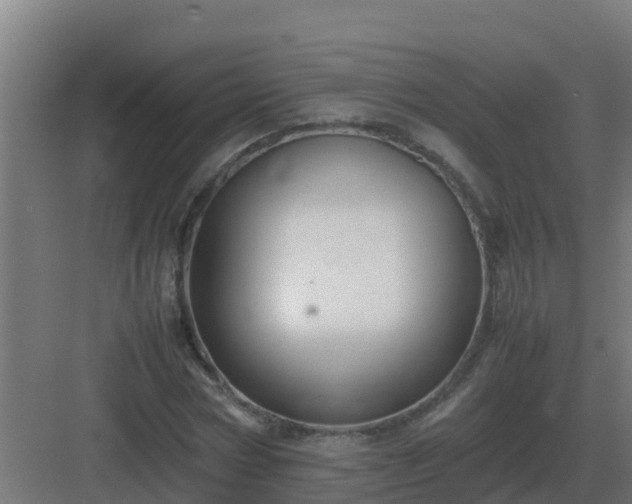 X0000083000778200702081859