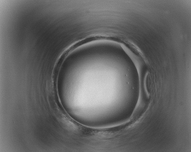 X0000083000779200702081859