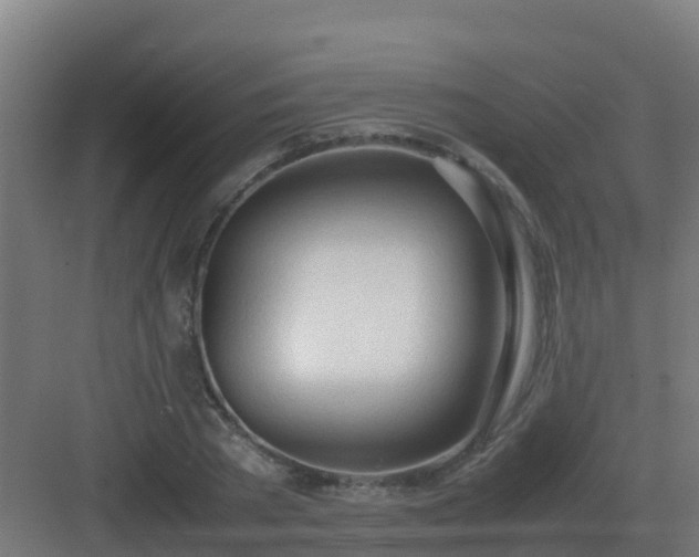 X0000083000785200702081859