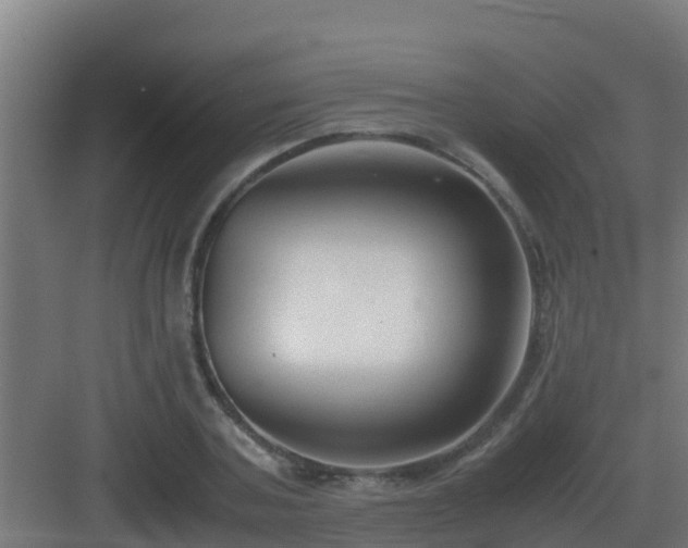 X0000083000787200702081859