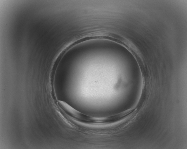 X0000083000789200702081859