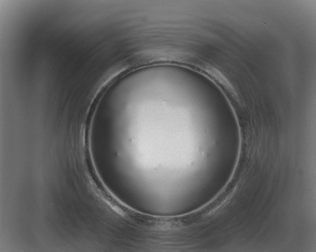 X0000083000790200702081859