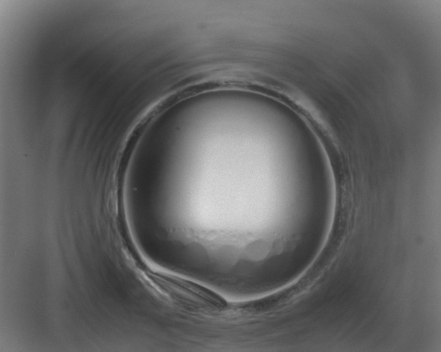 X0000083000791200702081859