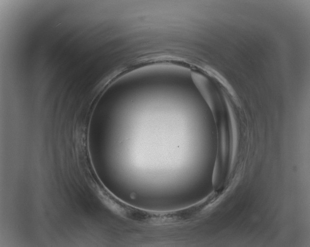 X0000083000793200702081859