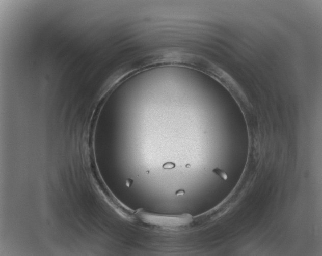 X0000083000794200702081859