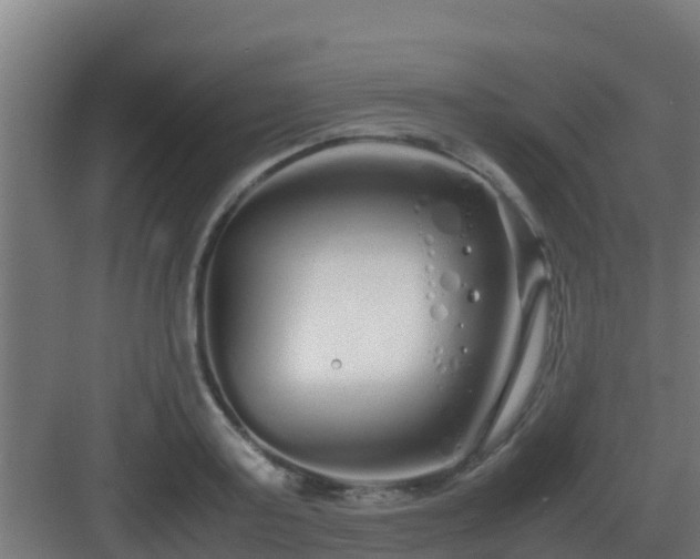 X0000083000795200702081859