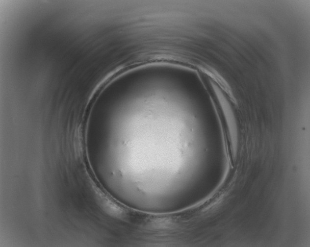 X0000083000798200702081859