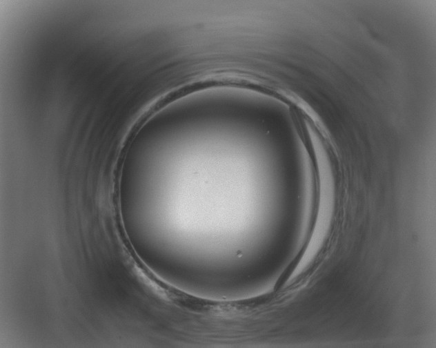 X0000083000799200702081859