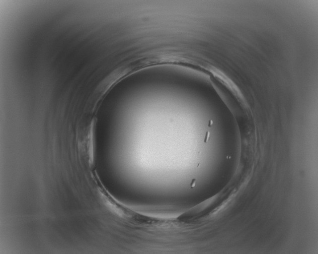 X0000083000801200702081859