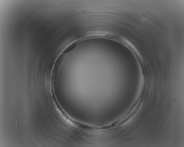 X0000083000802200702081859