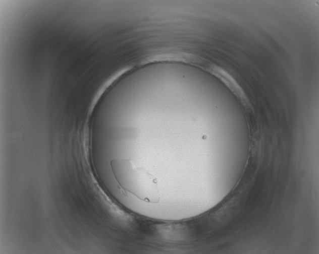 X0000083000804200702081859