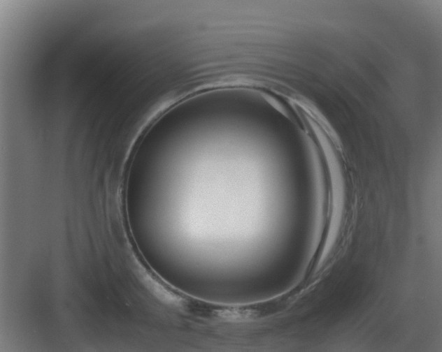 X0000083000805200702081859