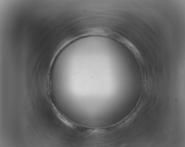 X0000083000808200702081859