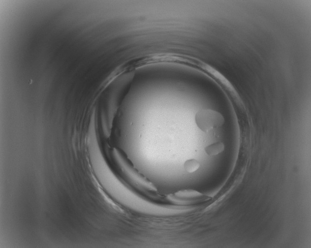 X0000083000809200702081859