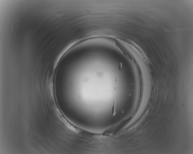 X0000083000812200702081859