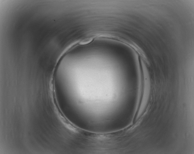 X0000083000814200702081859