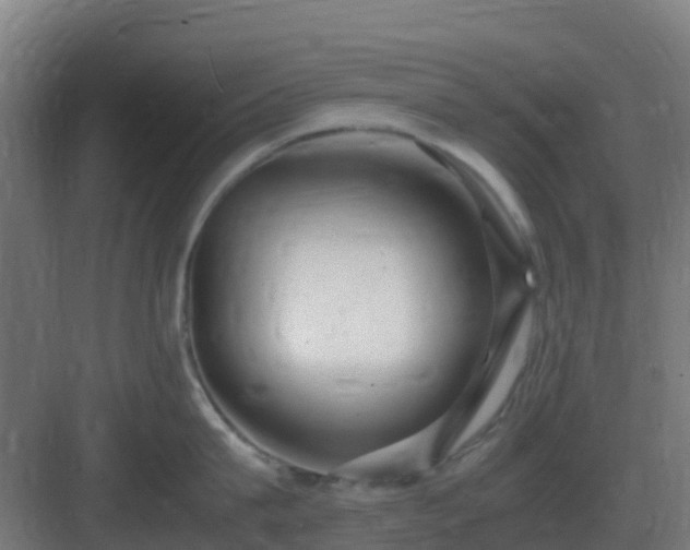 X0000083000815200702081859