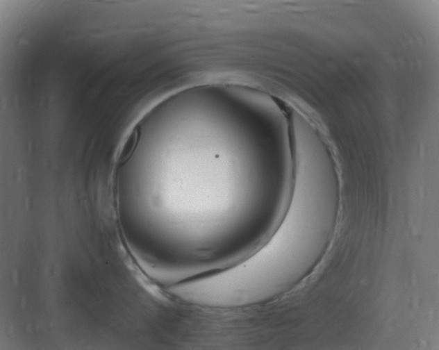 X0000083000816200702081859