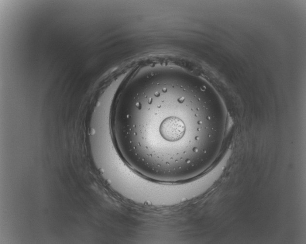 X0000083000824200702081858