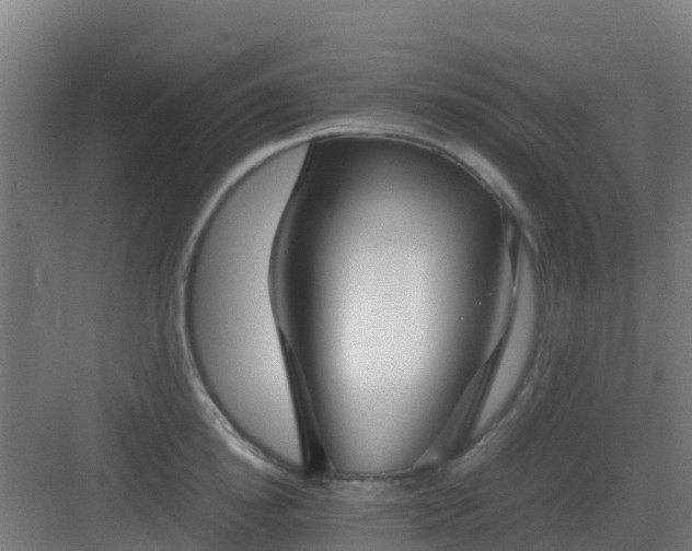 X0000083000854200702081858