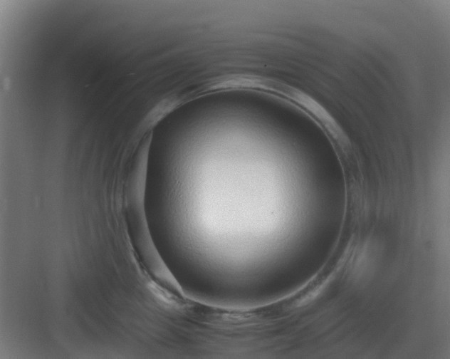 X0000083000857200702081858