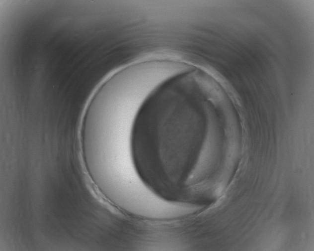 X0000083000864200702081859