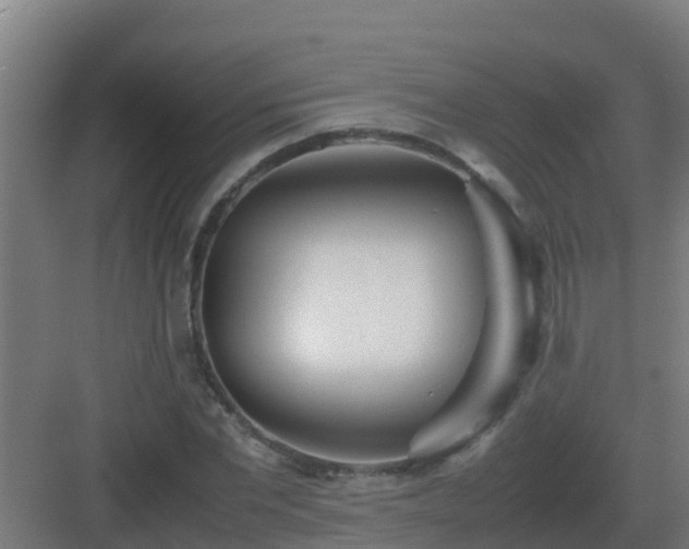 X0000083000877200702081857