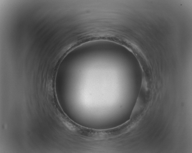 X0000083000881200702081857