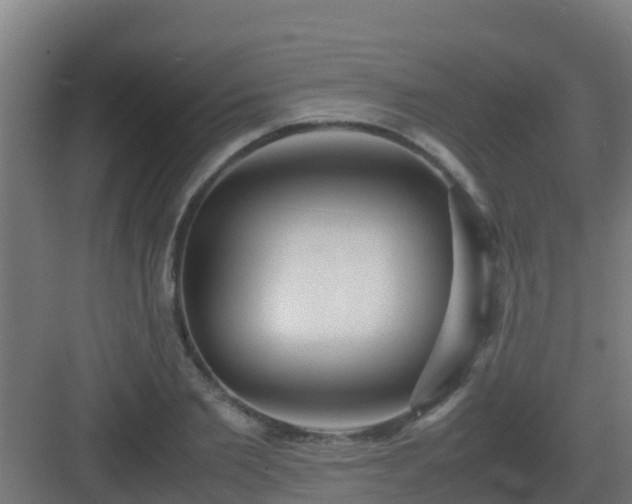 X0000083000885200702081857