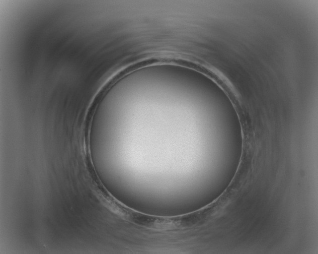 X0000083000887200702081857