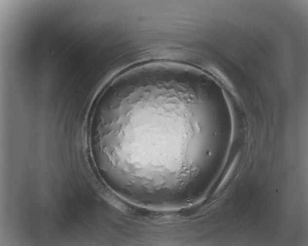 X0000083000891200702081857