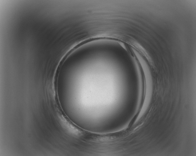 X0000083000892200702081857