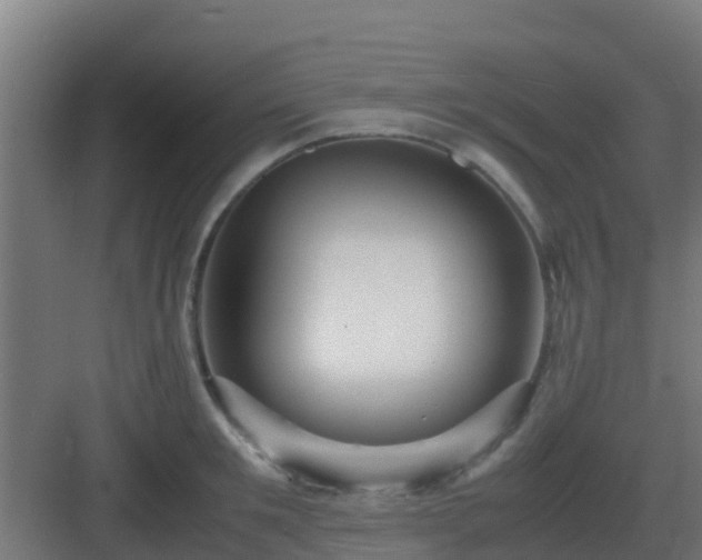 X0000083000901200702081857