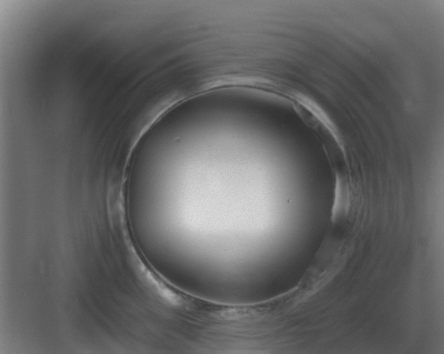 X0000083000906200702081857