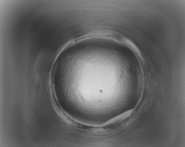 X0000083000907200702081857