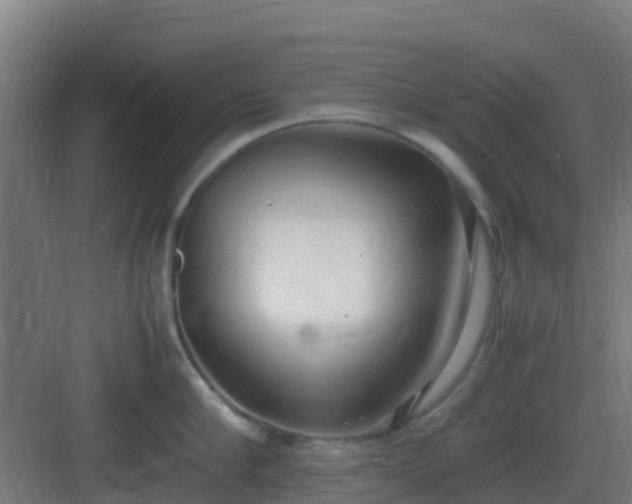 X0000083000910200702081857