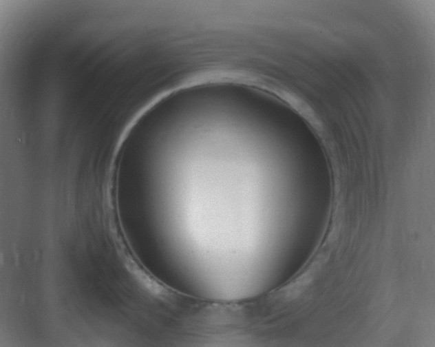 X0000083000912200702081857