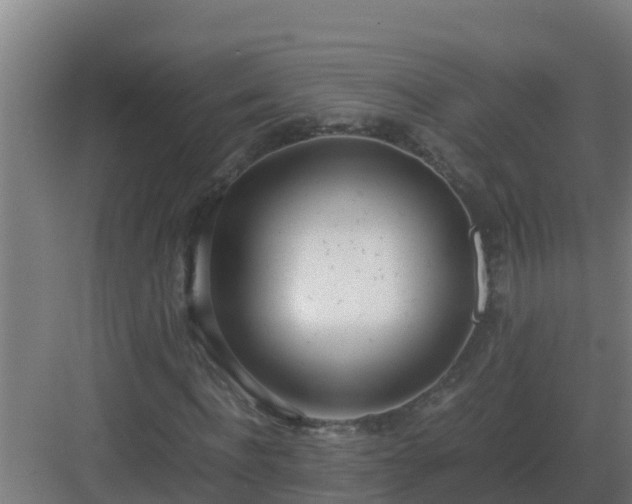 X0000083000916200702081856