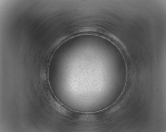X0000083000929200702081856