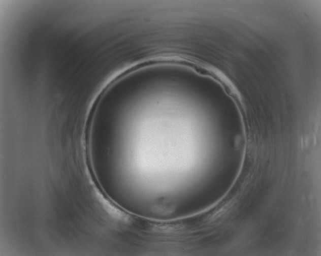 X0000083000951200702081857