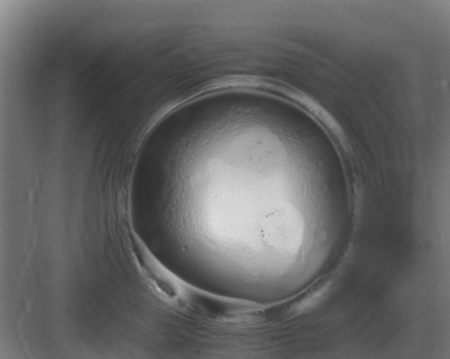 X0000083000953200702081857