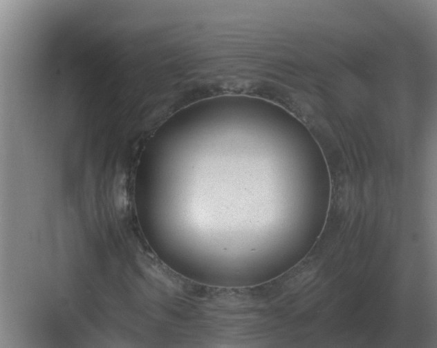 X0000083000962200702081856
