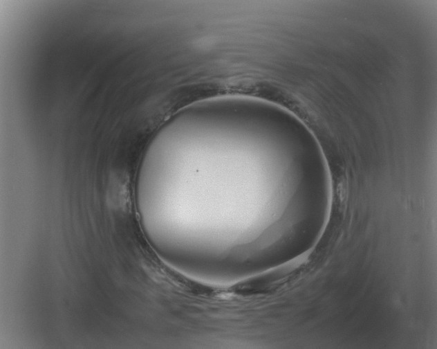 X0000083000963200702081856