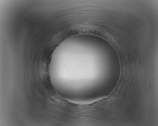 X0000083000964200702081856