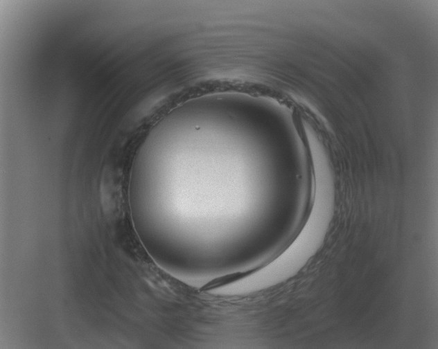 X0000083000968200702081856