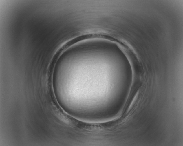 X0000083000975200702081856