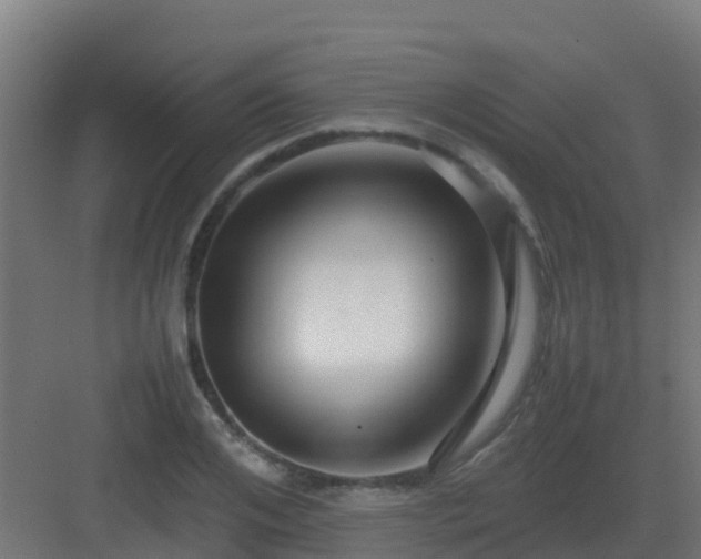 X0000083000984200702081856