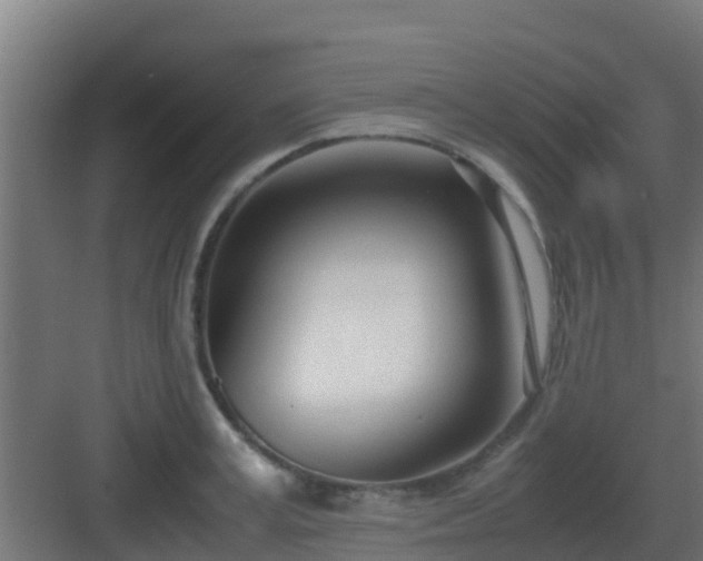 X0000083000995200702081856